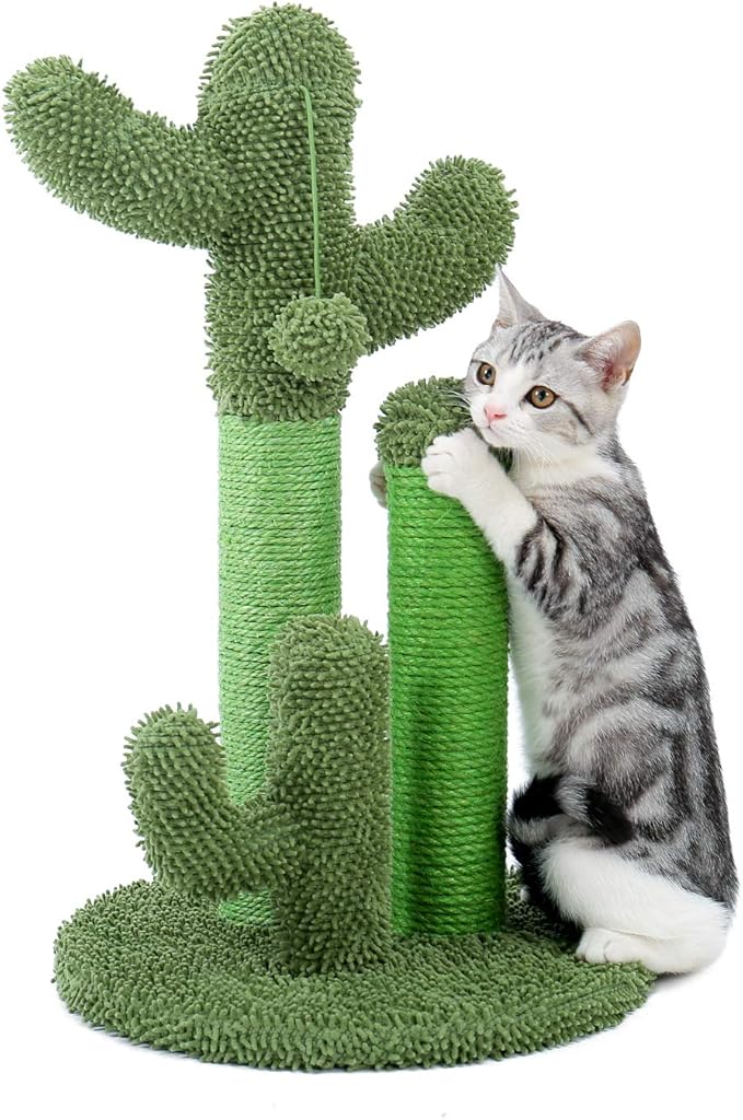 PAWZ Road Cat Scratching Post Cactus Cat Scratcher Featuring with 3 Scratching Posts and Dangling Ball-Medium 23 Inches