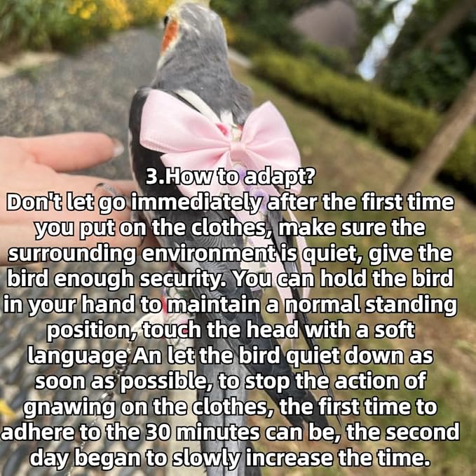 Bird Diaper Parrot Washable Diapers, Parrot Flight Suit, Reusable Nappies for Parakeet Cockatiel Mini Macaw Budgie Conure Lovebird (Purple,M)