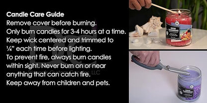 Lavender Odor Eliminating Highly Fragranced Candle - Eliminates 95% of Pet, Smoke, Food, and Other Smells Quickly - Up to 80 Hour Burn time - 12 Ounce Premium Soy Blend