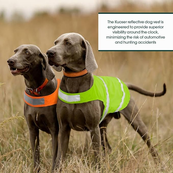 Kuoser Reflective Dog Vest, High Visibility Safety Vest for Medium to Large Dogs, Lightweight Pet Reflective Vests for Hunting Outdoor Activities Walking at Night, Fluorescent Green XL