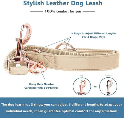 Soft Leather Dog Collar and Leash (6.6') Set - Stylish Rose Gold Heavy Duty Metal Buckle, 4 Adjustable Lengths Leash for Small Medium Large Dogs - Comfortable & Easy to Clean Beige XS(8"-12")