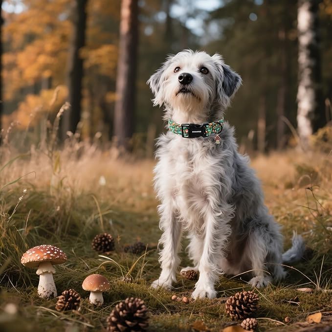 DOGWONG Fall Dog Collar, Autumn Dog Collar Adjustable Soft Natural Fabric Mushroon Pet Dog Collars Cute Puppy Necklace for Small Medium Large Dogs