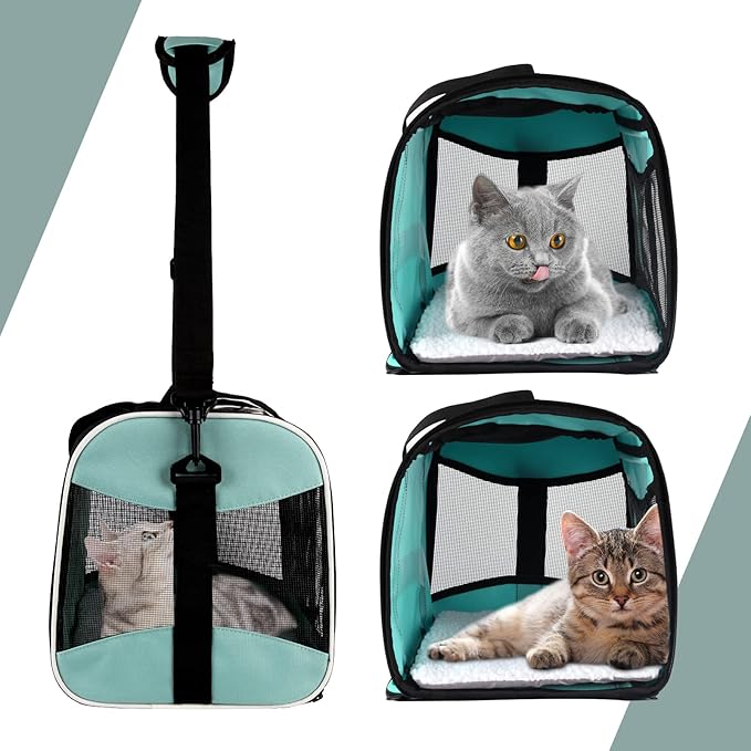 Cat Carrying Case Pet Dog Carrier Soft-Sided Cat Bag Airline Approved, Pet Travel Carrier Up to 15 Lbs, Collapsible Cats Carrier Dog Carrier for Medium Small Cats Dogs(17x11x11 Green)