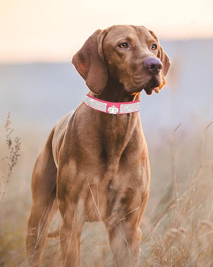 Bling Dog Collar for Small Medium Large Dogs, Crown Rhinestone Dog Collars for Girl and boy Dog, Diamond Puppy Collars, Adjustable Leather Suede SOFE Cat Collar (M(13"-15.4"/33CM-39CM), Rose Red)