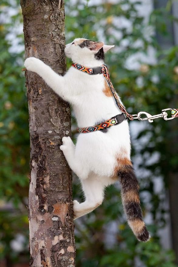 Cat Harness and Leash Set Geometric Pattern Escape Proof Adjustable for Kitty Outdoor Walking(Orange)