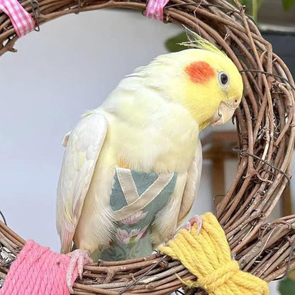 Bird Flight Suits and Diapers - Parrot Flight Suits for Monk Parakeet Parakeets, Cockatiels - Comfortable Parrot Clothes(Yellow,XL)(Almond,Large)