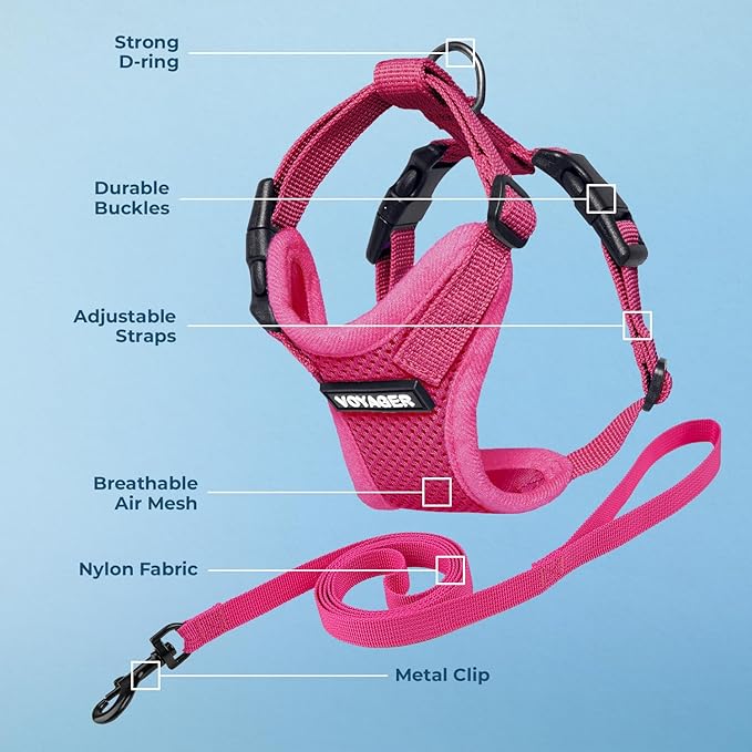 Voyager Step-in Lock Adjustable Cat Harness w. Cat Leash Combo Set with Neoprene Handle 5ft - Supports Small, Medium and Large Breed Cats by Best Pet Supplies - Fuchsia, XXS