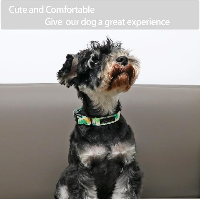 ARING PET Summer Dog Collar-Lightweight Dog Collar for Small Dogs, Adjustable Comfortable Cotton Dog Collars for Small Medium Large Dogs, Small