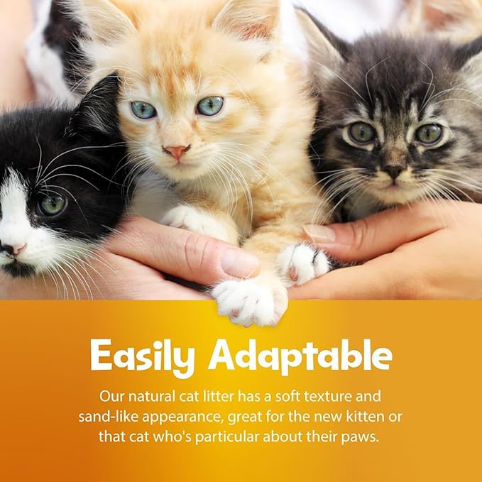 SmartCat All Natural Clumping Cat Litter, 10 Pound (160oz 1 Pack) - Alternative to Clay and Pellet Litter - Chemical and 99% Dust Free - Unscented and Lightweight