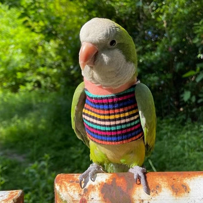 Bird Clothes - Handmade Cotton Stripe Shirt Round Collar Sweater Flight Suit for Parrots African Greys Parakeet Cockatiel Sun Conure Christmas Halloween (Without Diaper,2M)