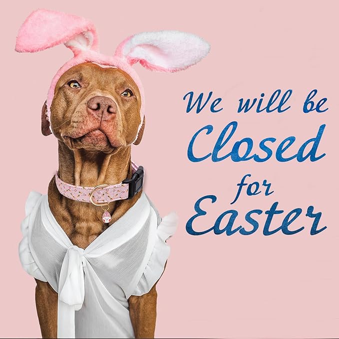 Faygarsle Cute Easter Collar for Small Medium Large Dogs Girl Boy Female Male Dog Pink Cotton with Adorable Rabbit Print Easter Puppy Collar with Easter Egg Charm L