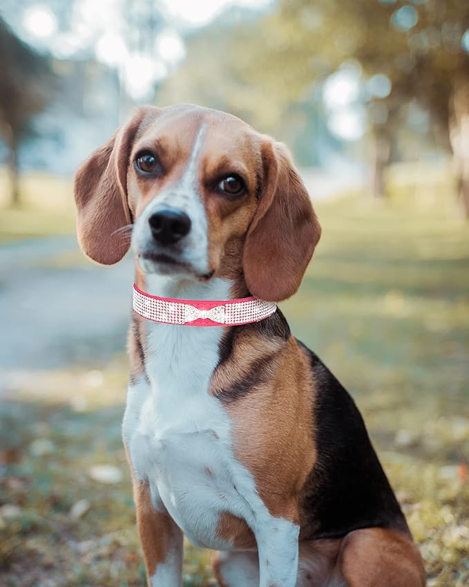 Bling Dog Collar for Small Medium Large Dogs, Crown Rhinestone Dog Collars for Girl and boy Dog, Diamond Puppy Collars, Adjustable Leather Suede SOFE Cat Collar (S(10.6"-13"/27CM-33CM), Pink2)