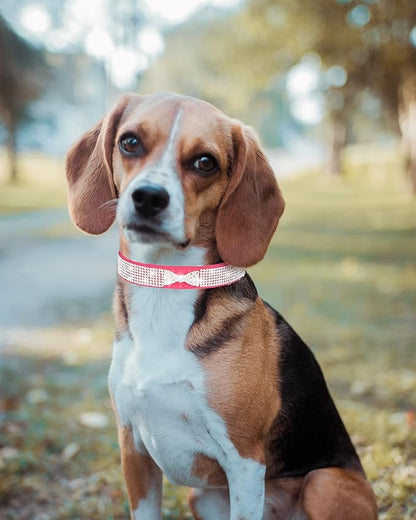Bling Dog Collar for Small Medium Large Dogs, Crown Rhinestone Dog Collars for Girl and boy Dog, Diamond Puppy Collars, Adjustable Leather Suede SOFE Cat Collar (M(13"-15.4"/33CM-39CM), Pink2)
