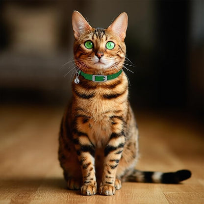 OOPSDOGGY Rolled Leather Cat Collar with Bell, Reflective Kitten Collars with Buckle Include Safety Elastic Strap - Adjustable Small Pet Collars for Boy Girl Cats (Green)