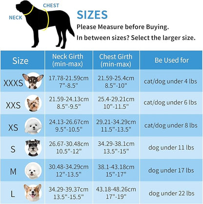 AIITLE Dog Harness and Leash Set - Ultra-Comfortable Vest with Strong Magic Tape & Glow-in-Dark Reflective Strips, Chafe-Free for Teddy, Schnauzer (Black, M)