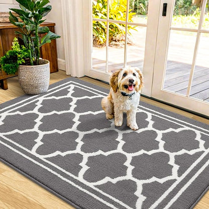 Buganda Indoor Door Mat, Dirt-Resistant and Absorbent Doormat, Anti-Slip, Low Profile Floor Mats for Inside Entryway, Front, and Back Door Entrance (40x32 Inches, Grey)