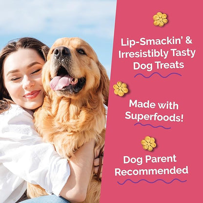 Fruitables Baked Dog Treats, Healthy Pumpkin Treat for Dogs, Low Calorie & Delicious, Free of Wheat, Corn and Soy, Made in The USA, Pumpkin and Apple Flavor, 20oz