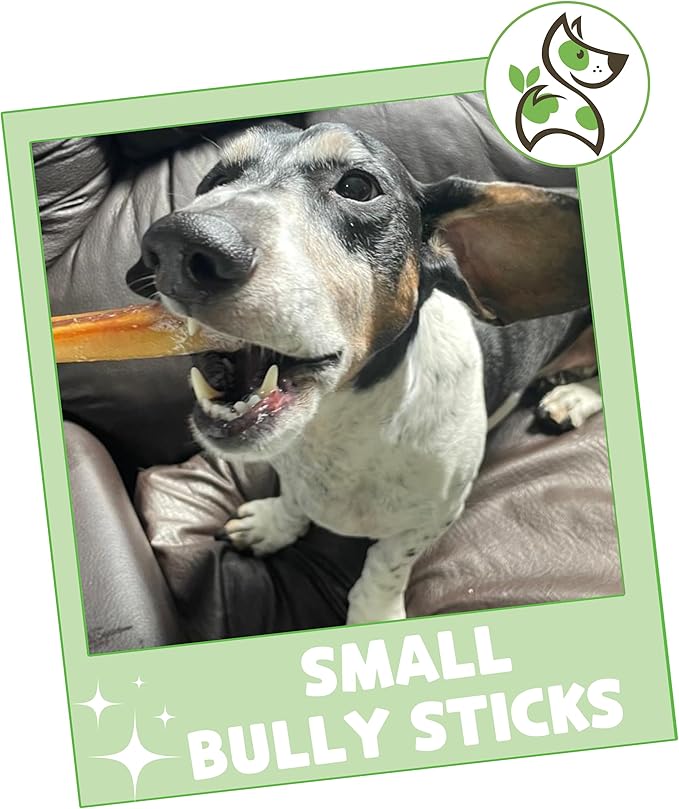 Nature Gnaws Small Bully Sticks for Dogs 5-6" (15 Count) - Long Lasting for Light Chewers and Puppies - Natural Thin Beef Dog Chew Bones - Rawhide Free