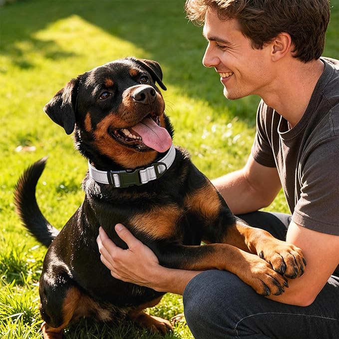 Reflective Dog Collar with Quick Release Buckle - Metal Ring - Adjustable Soft Neoprene Padded Basic Dog Collar for Small Medium Large Dogs (LightGray, Large :Width 1",Neck 15.7-23.6")