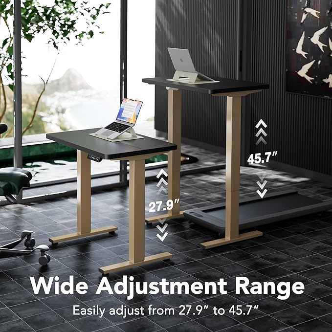 HUANUO 32" Small Electric Standing Desk Adjustable Height, 4 Memory Height Settings, Sit Stand Up Desk for Home Office & Computer Workstation, Black and Gold Frame