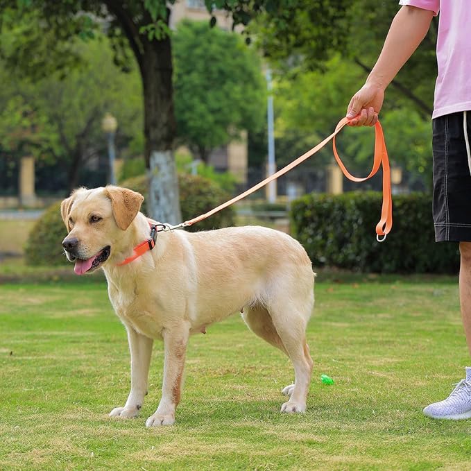 Waterproof Dog Collar, Easy to Clean Rubber Dog Collars with Quick Release Buckle Fits Small Medium or Large Dogs (Orange, L < 15.4-24.8 inch)