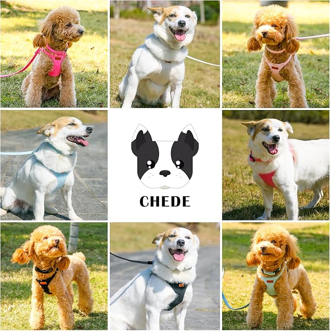 No Pull Dog Harness- Lightweight, Soft, Adjustable Small Harness Collar and Leash Set, Suitable for Cats Puppy Small and Medium-Sized Dog Outdoor Training and Running (hotpink, XS)