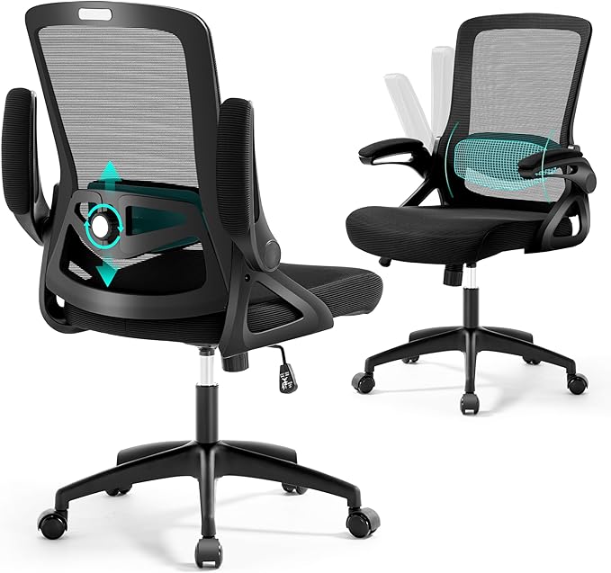 Ergonomic Office Chair, Desk Chair with Adjustable Lumbar Support, Breathable Mesh Comfy Computer Chairs with Flip-up Armrests Executive Task Chair for Adults Home Office(Black)