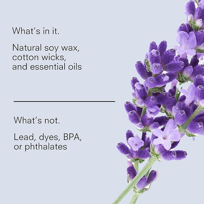 Public Goods Scented Soy Candle for Women & Men | Large 3 Wick Glass Candle | Long Lasting & Non Toxic | Made with Natural Soy Wax & Organic Essential Oils | Gift Box | 12.3oz Jar | Lavender & Vanilla