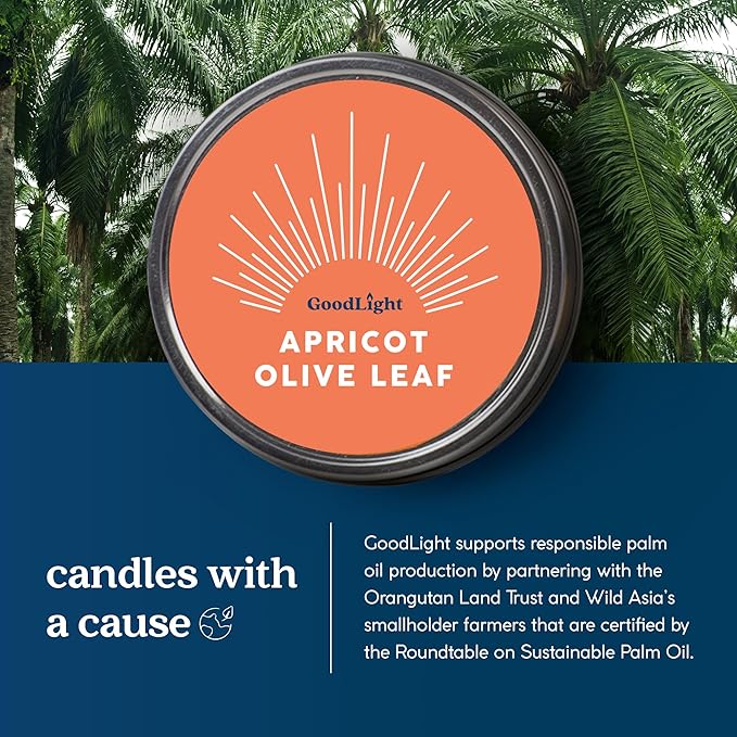 GoodLight Paraffin-Free Scented Candle, Clean Burning Non-Toxic Tin Candles, Apricot Olive Leaf Essential Oil Scented Travel Candle