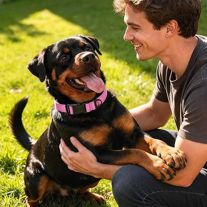 Reflective Dog Collar with Quick Release Buckle - Metal Ring - Adjustable Soft Neoprene Padded Basic Dog Collar for Small Medium Large Dogs (Hotpink, Medium :Width 1",Neck 13.8-19.6")