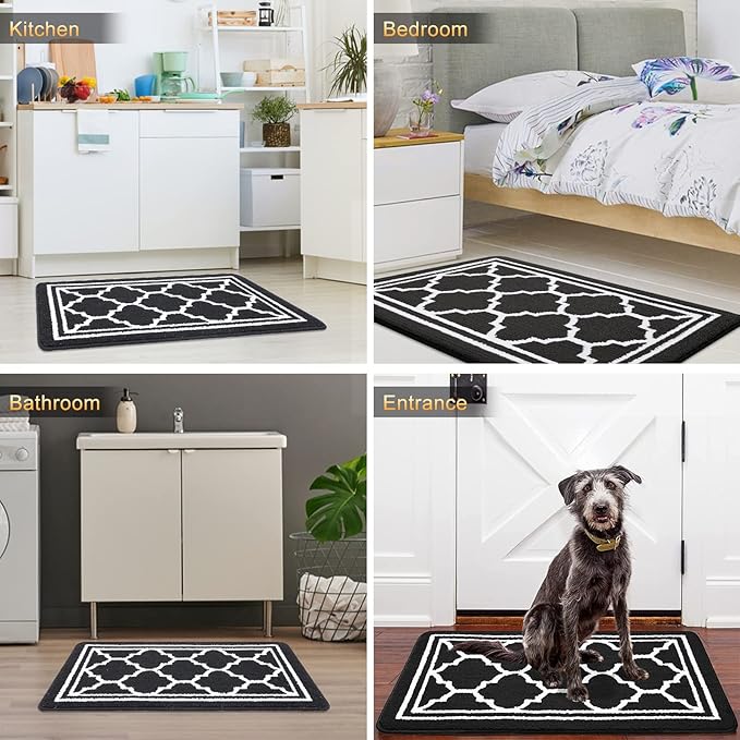 Buganda Indoor Door Mat, Dirt-Resistant and Absorbent Doormat, Anti-Slip, Low Profile Floor Mats for Inside Entryway, Front, and Back Door Entrance (40x32 Inches, Black)