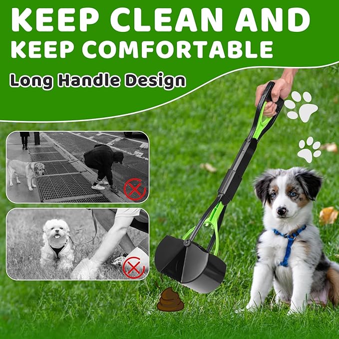 Dog Poop Trash Can Outside with Pooper Scooper and Metal Rake & Tray, 20L/5Gal Dog Waste Trash Can with Lid, Pedal and Removable Inner Waste Bin, Pet Poop Bin with 100 Bags