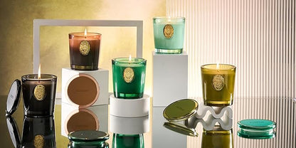 M&SENSE Natural Soy Candle | Evergreen Pine & Emerald Green | 9.2 oz, 50H Burn Time | Luxury Scented Candle for Relaxation, Gifting, Home Décor | Ideal for Bedroom, Office, Party Ambiance