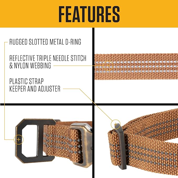 Carhartt Nylon Webbing Dog Collar, Fully Adjustable W/Durable Side Release Buckle, Coral Glow, Large