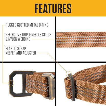 Carhartt Nylon Webbing Dog Collar, Fully Adjustable W/Durable Side Release Buckle, Light Moss, Medium