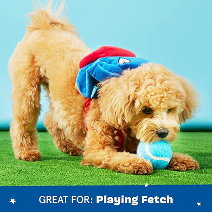 Barkbox 2 in 1 Interactive Plush Dog Toy - Rip and Reveal Toy for Dogs and Puppies - Stimulating Squeaky Pet Toys | Janspup Backpack (Small)
