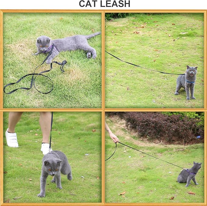AMAGOOD 6 FT Cat Leash, Strong and Durable Traditional Style Leash with Easy to Use Collar Hook,Cat Lead Great for Cats (3/8" x 6 Feet,Black and Black(2-Pack))