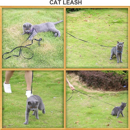 AMAGOOD 6 FT Cat Leash, Strong and Durable Traditional Style Leash with Easy to Use Collar Hook,Cat Lead Great for Cats (3/8" x 6 Feet,Black and Black(2-Pack))