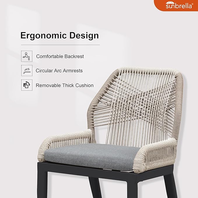 PURPLE LEAF Patio Dining Chair Set 2 Pieces Aluminum Modern Furniture Seating for Garden Kitchen Porch Outdoor Wicker Dining Chairs with Cushions, Dark Grey