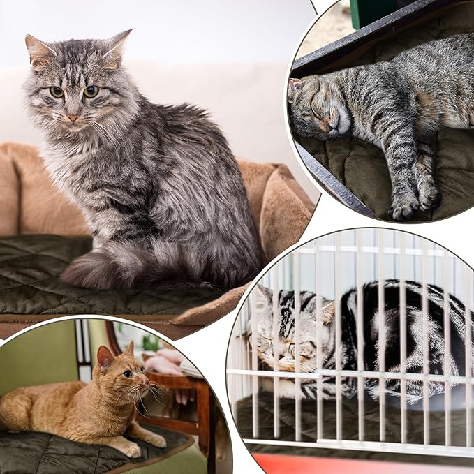 4 Pack Self Heating Cat Pad Self Warming Dog Mat Reflects Body Heat Extra Warm Thermal Pet Pad Washable Dog Cat Bed Crate Bed Mat Blanket(Coffee Color,16 x 20 Inch)