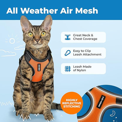 Voyager Escape Proof Cat Harness and Leash Set with Reflective Stitching, Neoprene Handle 5ft - Supports Small, Medium and Large Cats, Kittens for Walking by Best Pet Supplies - BT-Orange, XXXS