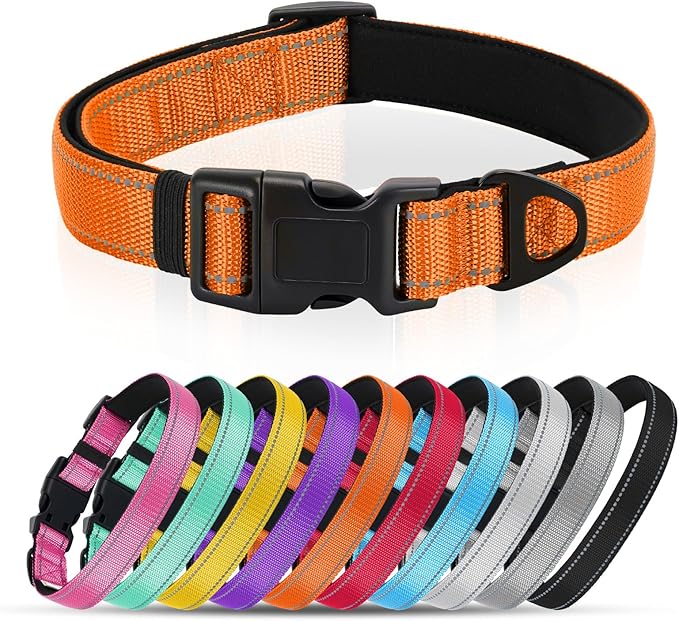 Reflective Dog Collar with Quick Release Buckle - Metal Ring - Adjustable Soft Neoprene Padded Basic Dog Collar for Small Medium Large Dogs (Orange, Large :Width 1",Neck 15.7-23.6")