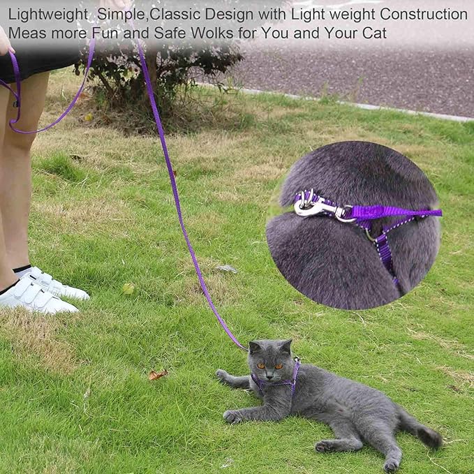 AMAGOOD 6 FT Cat Leashes, Strong Traditional Style Leash with Easy to Use Collar Hook,Cat Lead Great for Cats (3/8 in x 6 ft(Pack of 1), Purple)