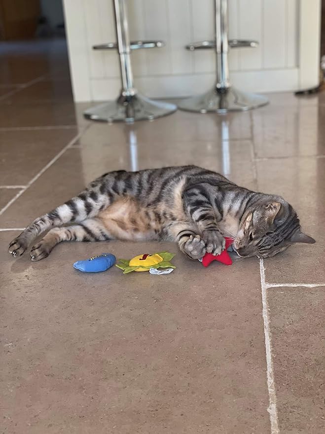 YEOWWW Catnip Cat Toy for Indoor and Outdoor Cats -Premium Quality Strong Catnip Toys for Cats (1x Crinkle Catnip Toy Sun 1 x Moon 1x Star)