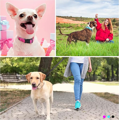 Durable Reflective Dog Collar and Leash Set with Double Layer Nylon, Soft Neoprene Padded Dog Collar with 5ft Strong Pet Leash Easy for Medium Large Dogs Walking,Teal,Neck fit 14.0-23.5’’