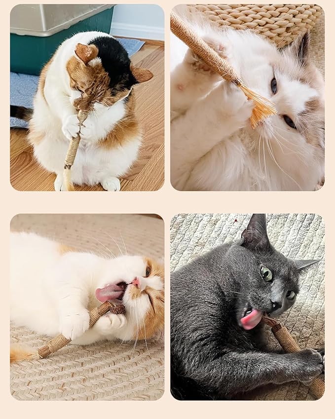 Tocirelo Kitten Chew Toys Teething - 6Pack Natural Silvervine Sticks for Cats, Matatabi Cat Feather Toy Chew Sticks, Cat Teeth Cleaning Treats for Indoor Bored Kitten