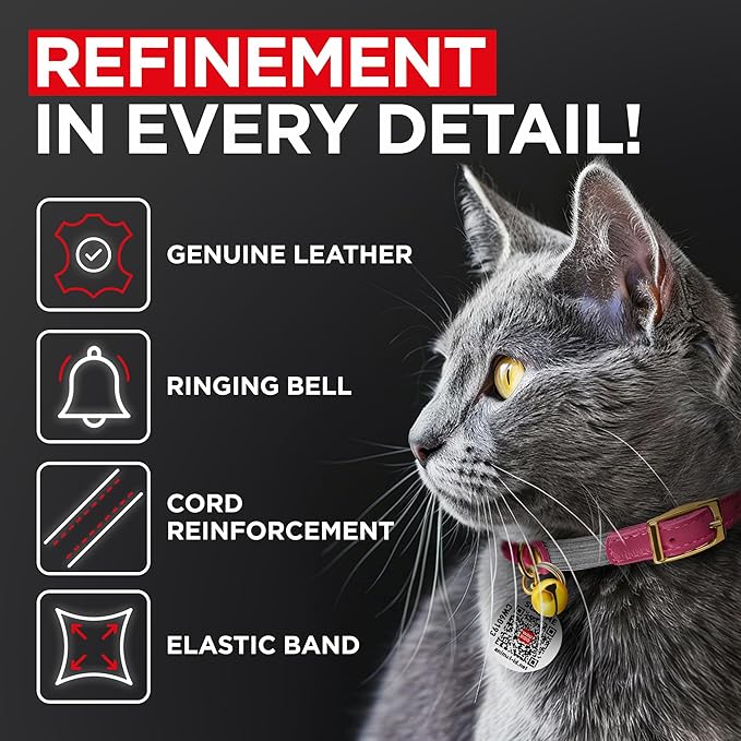 WAUDOG Ultra Soft Rolled Leather Cat Collar with Removable Bell, Safety Elastic Strap and QR ID Tag - Soft Padded for Small, Medium, and Large Cats - Round Kitten Collar for Male and Female Cats