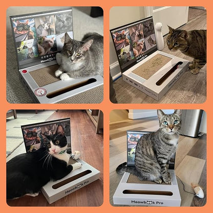 2PCS Cat Scratcher Laptop with 'Mouse' Jingle Ball, Stickers, 3-in-1 Cardboard Cat Interactive Toy, Kitten Toy & Cat Scratching Pad