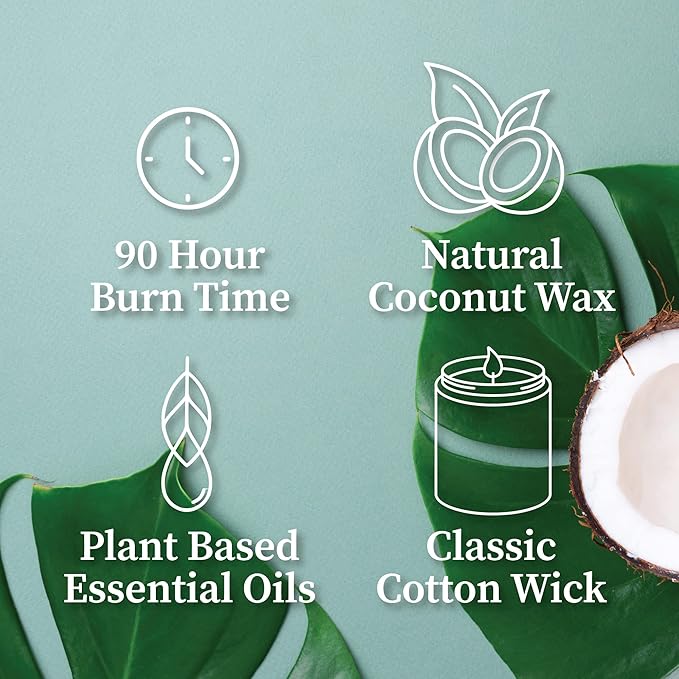 Hemlock Park Crackling Wood Wick Candle Handcrafted with Natural Coconut Wax (Large 16 oz, Smoked Palo Santo)