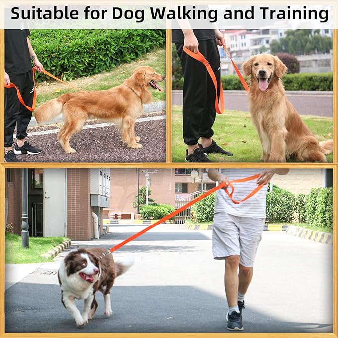 AMAGOOD 6 FT Puppy/Dog Leash, Traditional Style Leash with Easy to Use Collar Hook, Great for Small, Medium and Large Dogs (3/4 in x 6 ft, Orange)